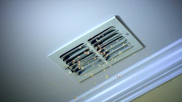 Best HVAC Maintenance and Cleaning  in Valmeyer, IL