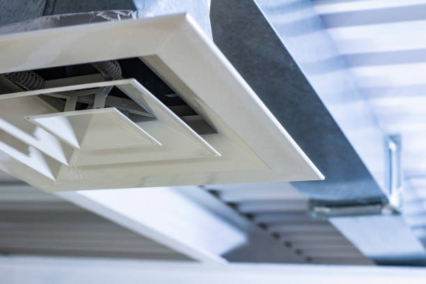 Best Affordable Duct Cleaning Services  in Valmeyer, IL