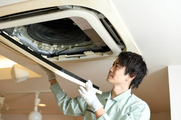 Best Local Air Duct Cleaning Services  in Valmeyer, IL