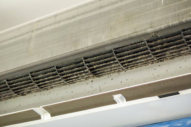 Best Commercial HVAC Duct Cleaning  in Valmeyer, IL